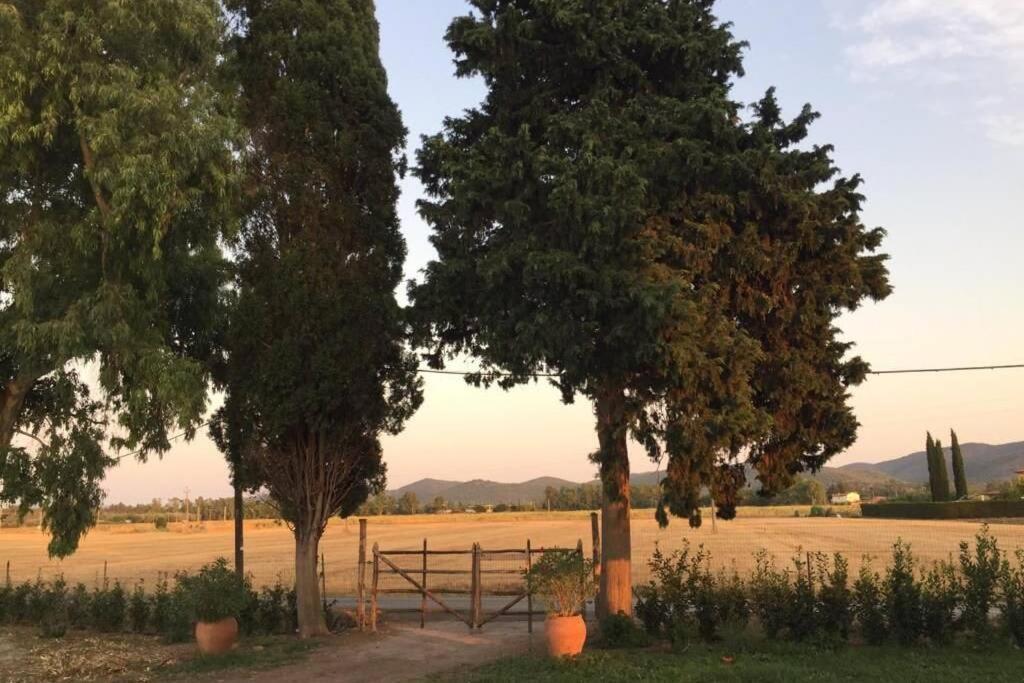 Azienda Agricola Maremma Bio Marsiliana Dış mekan fotoğraf
